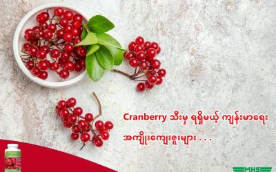 Cranberry အသီးမှရရှိမည့် ကျန်းမာရေးအကျိုးကျေးဇူးများ